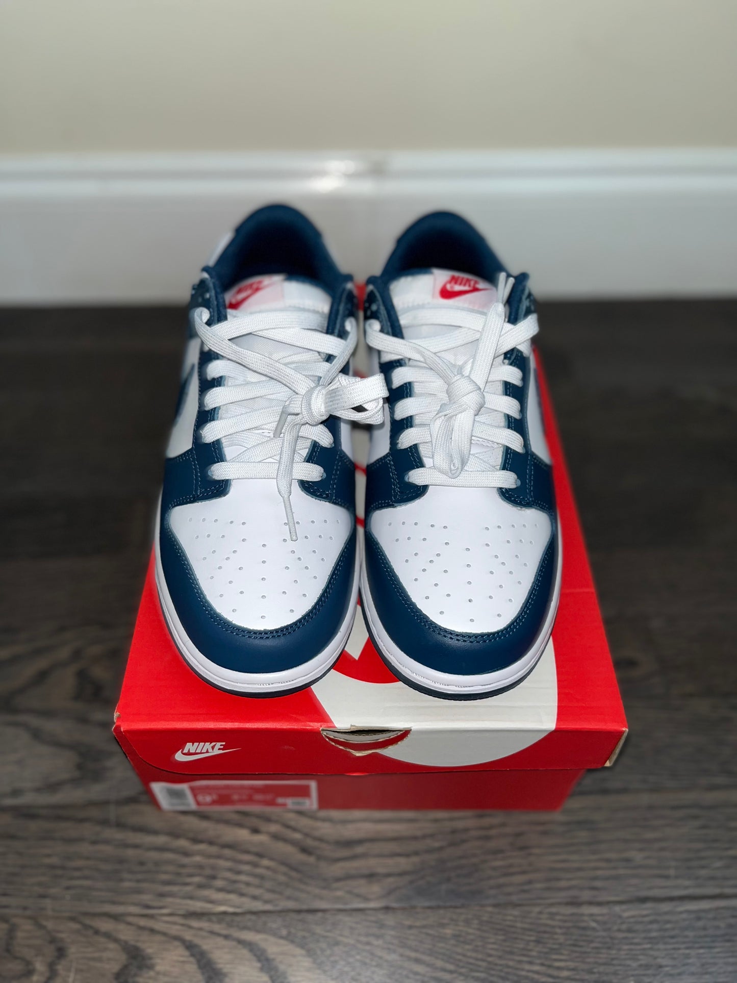 Nike Dunk Low “Valerian Blue”