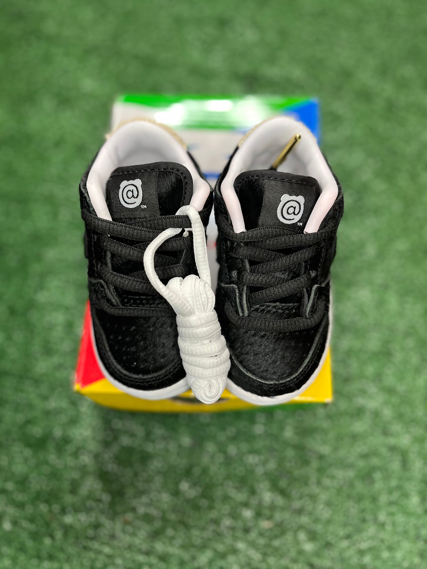 Medicom Toy X Dunk Low SB TD
“BE@RBRICK”