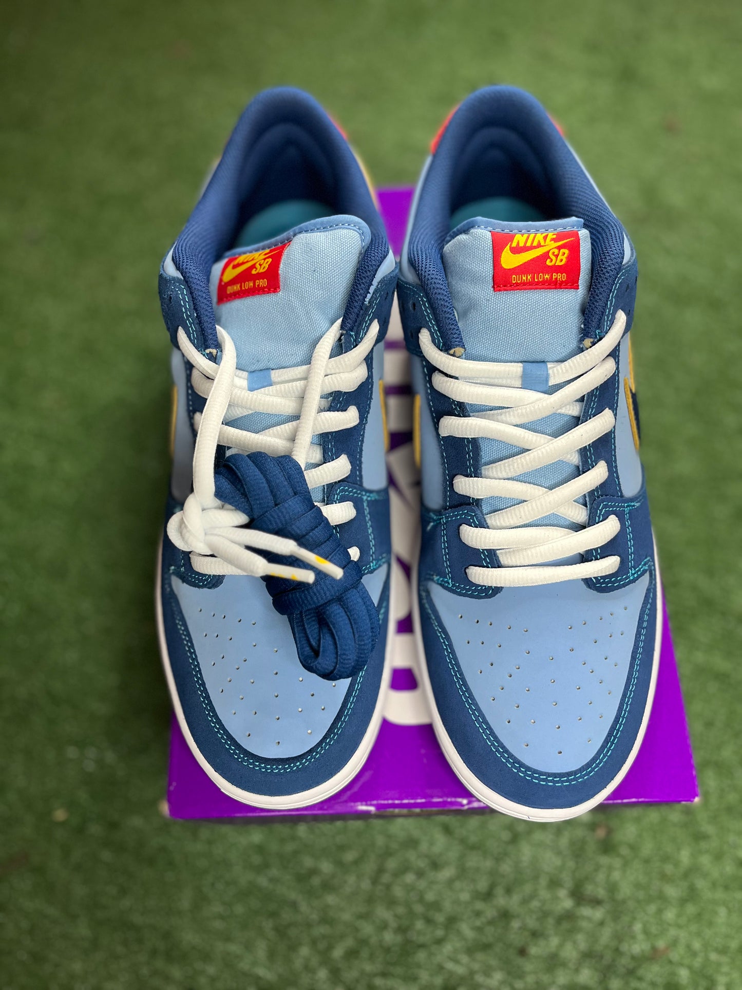 Why So Sad? X Dunk Low SB “The Predatory Bird”