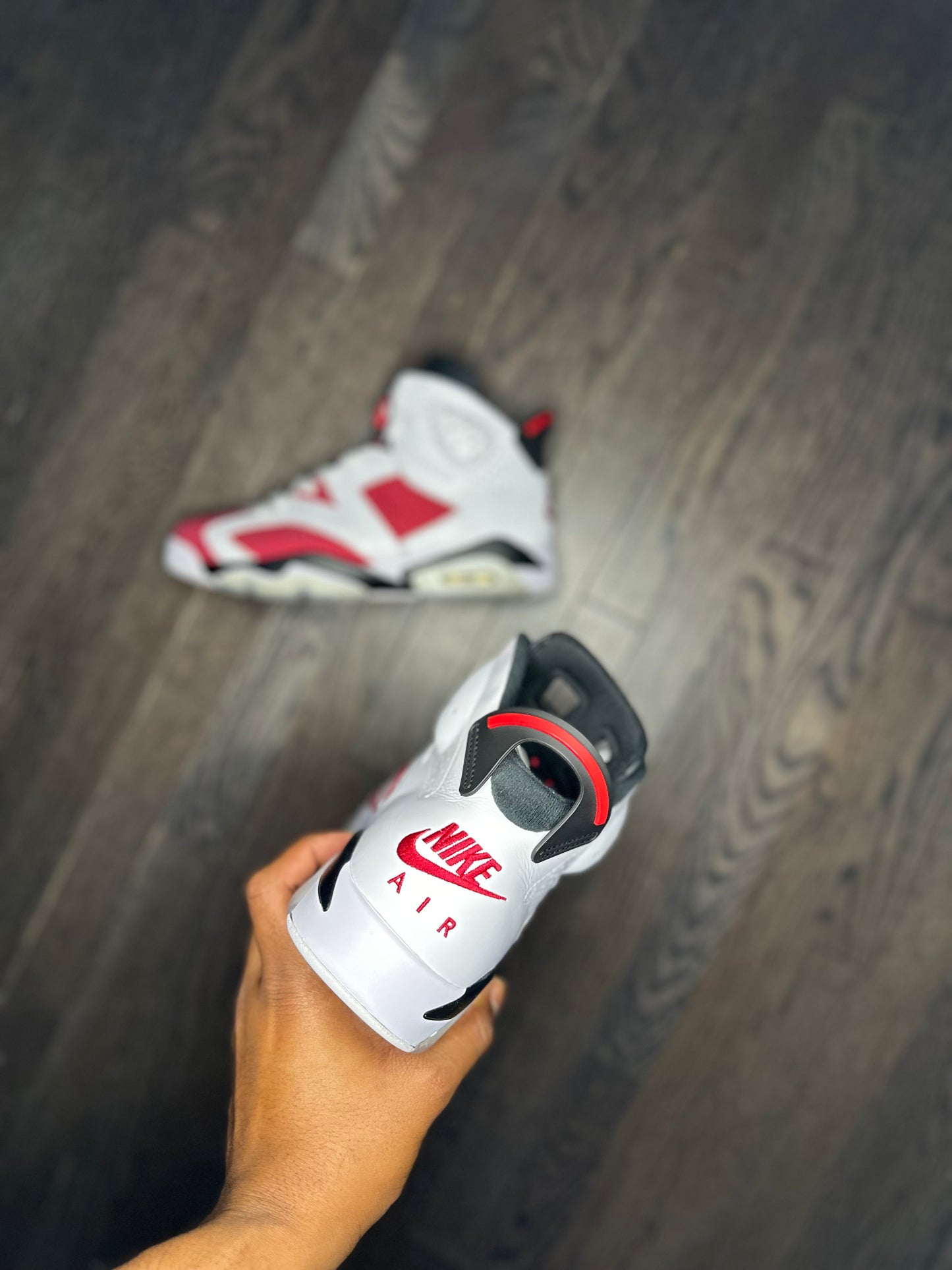 Air Jordan 6 Retro OG “Carmine” (2021)