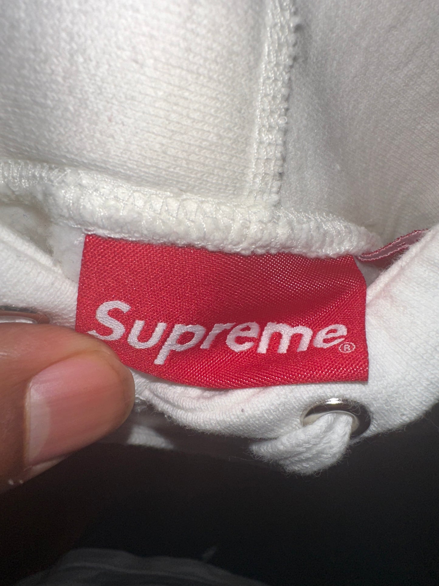 Supreme “Chenille Arc Logo”Hooded Sweatshirt