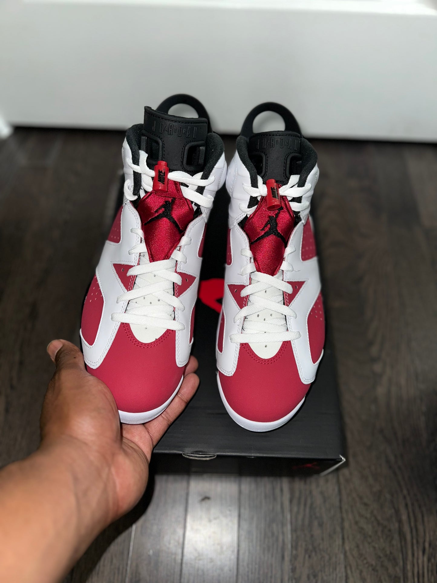 Jordan 6 Retro “Carmine” (2021)