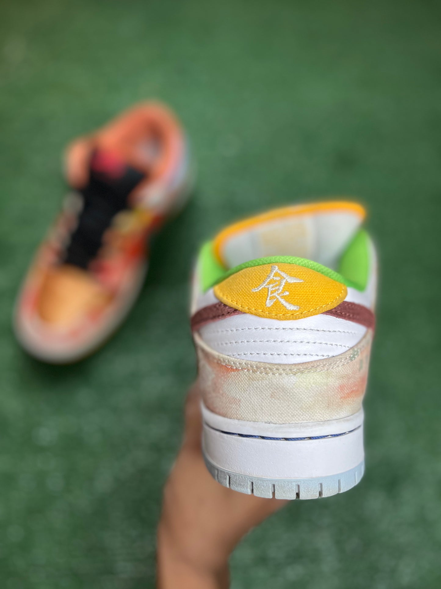 Jason Deng x Dunk Low Pro SB in