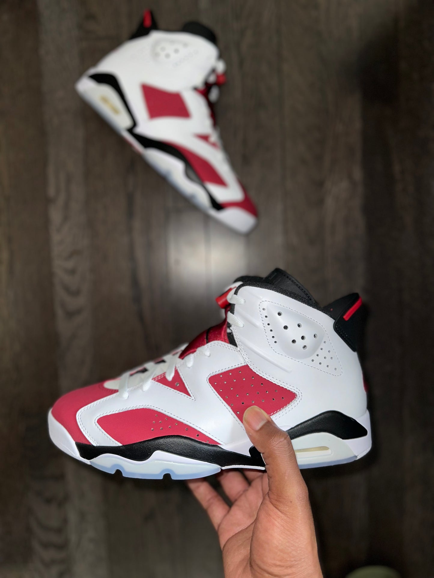 Jordan 6 Retro “Carmine” (2021)