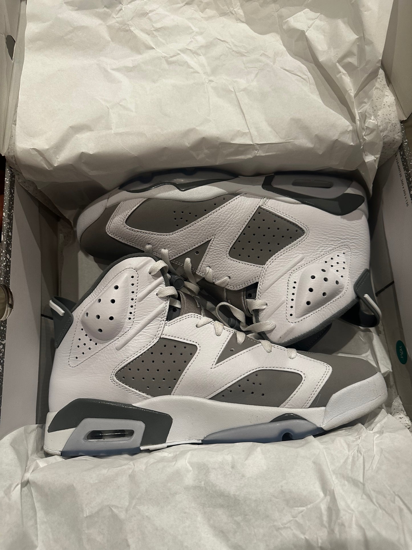 Jordan 6 Retro “Cool Grey”