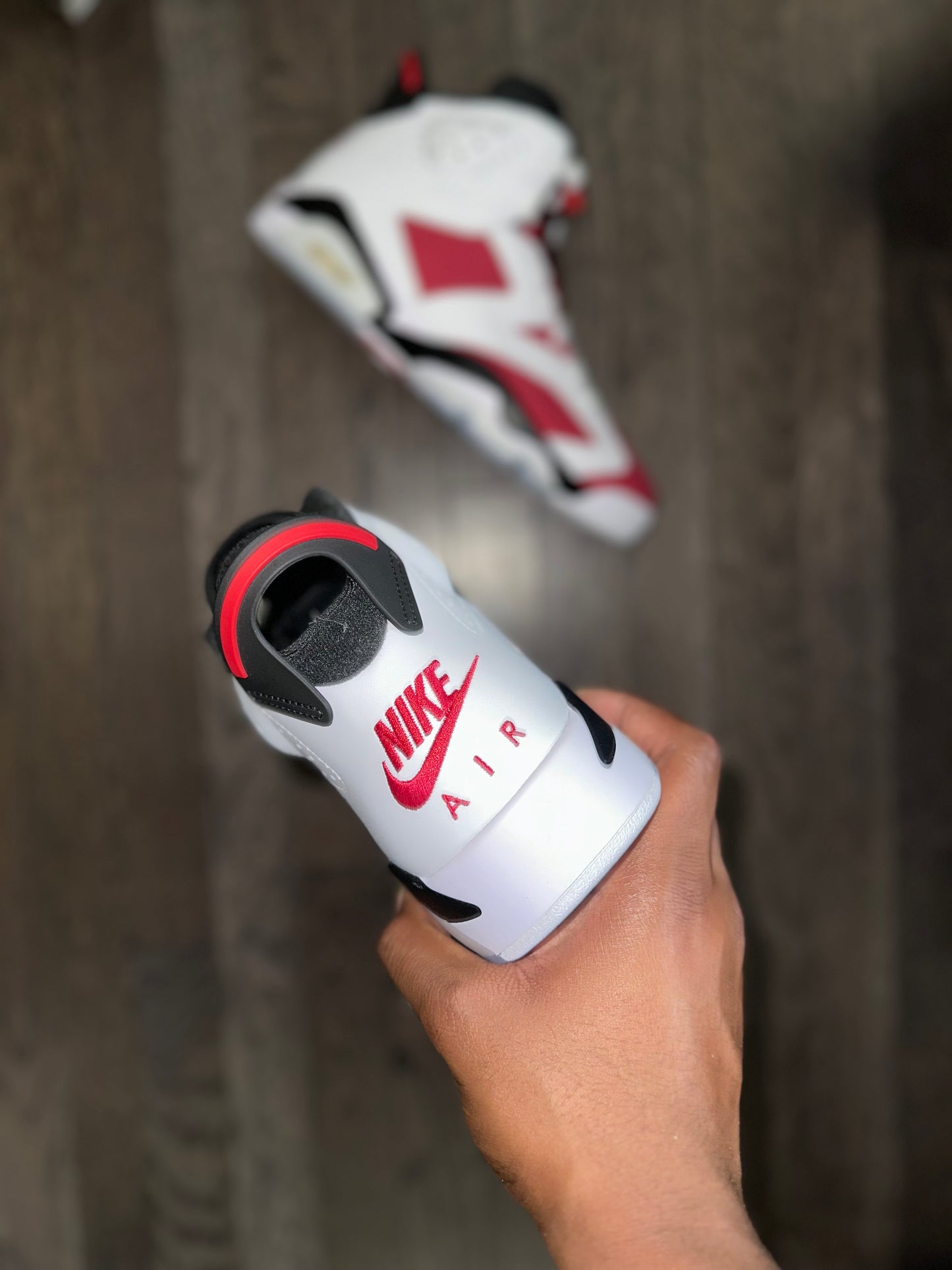 Jordan 6 Retro “Carmine” (2021)