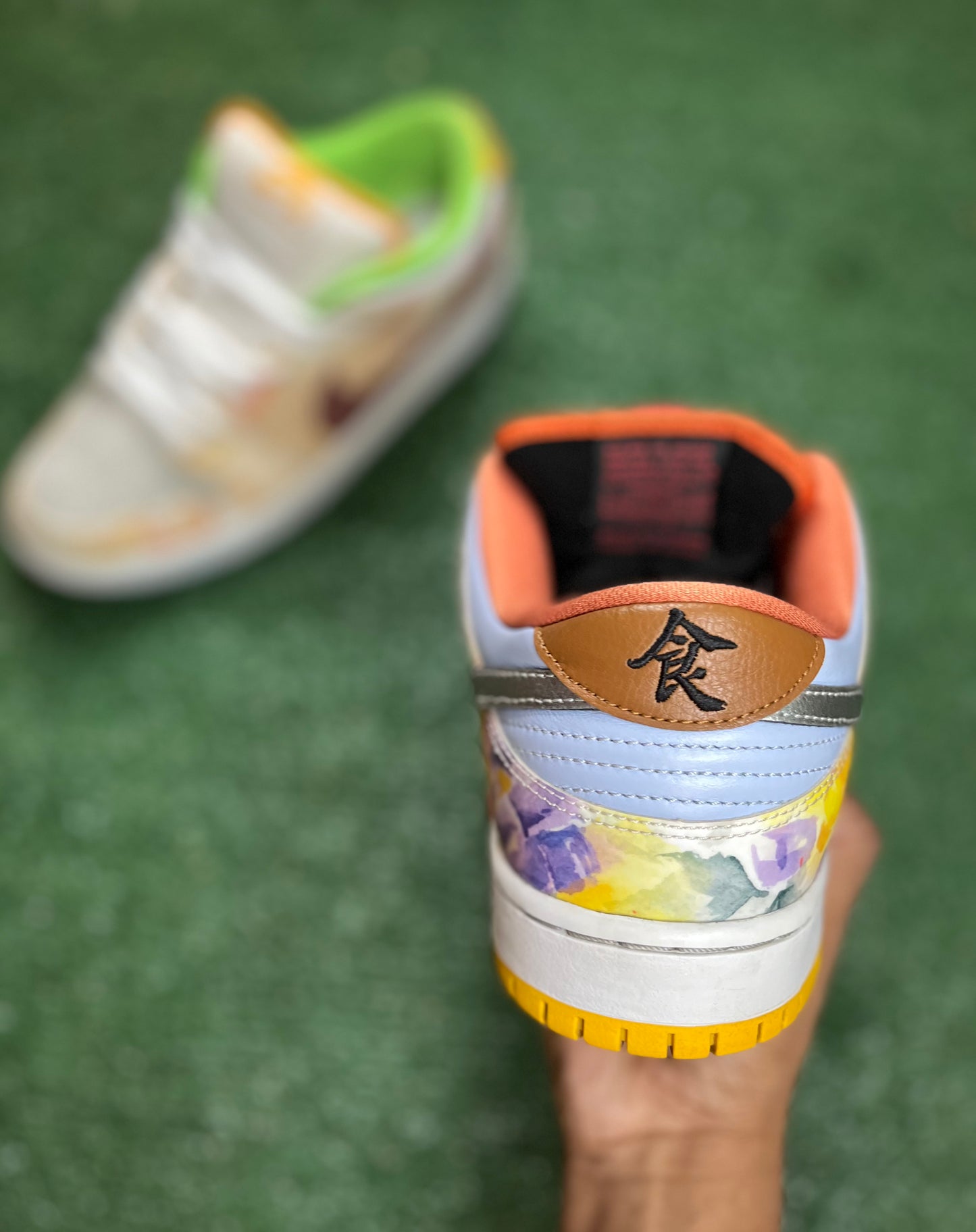 Jason Deng x Dunk Low Pro SB in