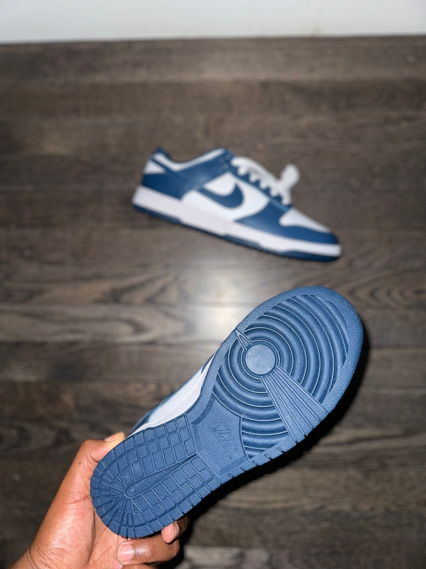 Nike Dunk Low “Valerian Blue”